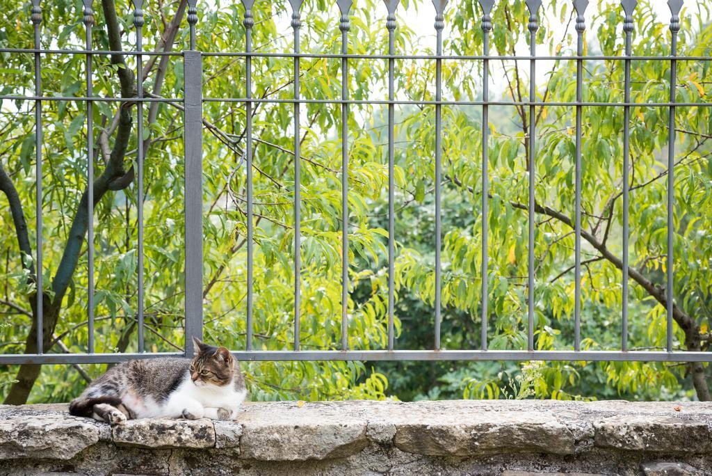 Masseria Acquasalsa Agnone Eksteriør bilde